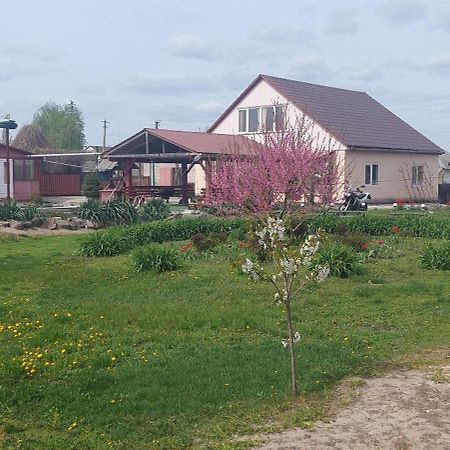 Садиба Зеленого Туризму «Золота Рибка» Medvedevka Exteriör bild
